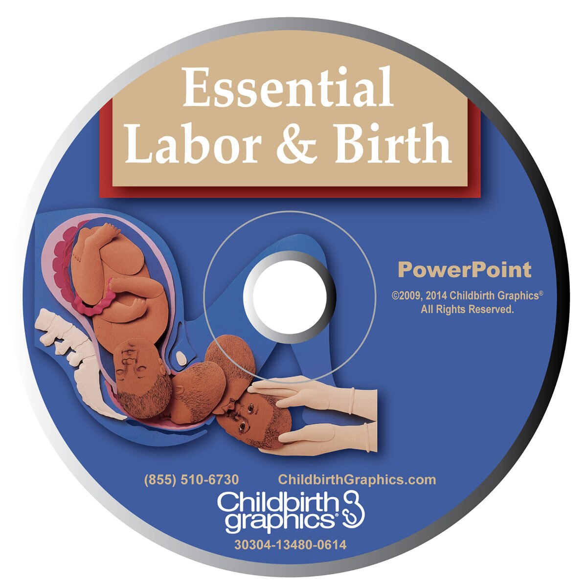 cardinal movements of labor