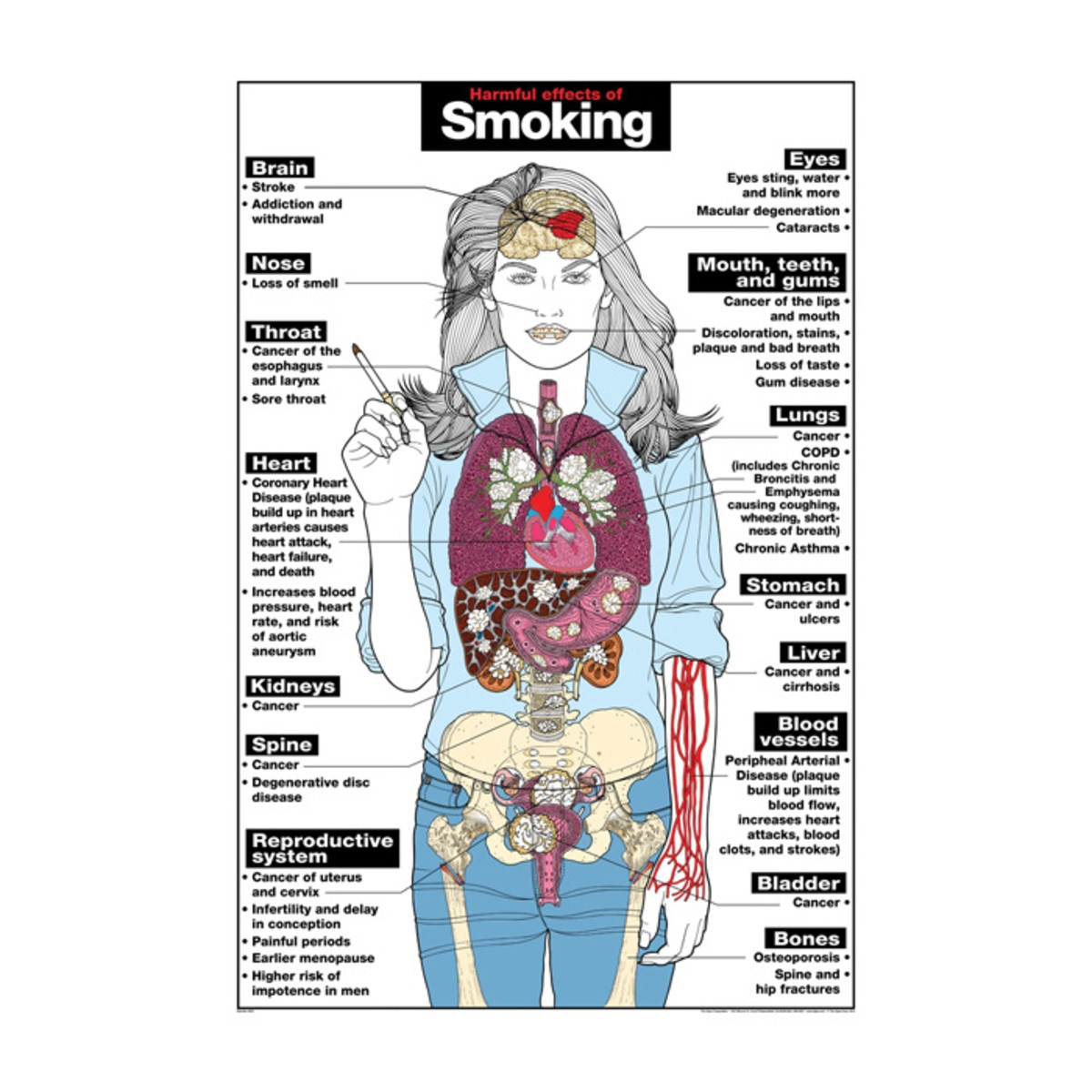 essay about smoking is bad essay about smoking is bad
