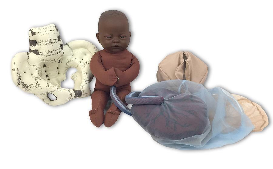 Cloth Pelvic Model Childbirth Education Model Set with Dark Brown Foetal Model