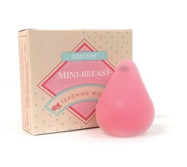 Concern Pink Mini Breast Model