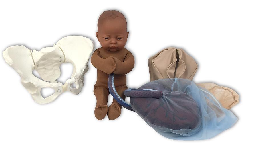 Deluxe Flexible Pelvis Childbirth Education Model Set with Brown Foetal Model