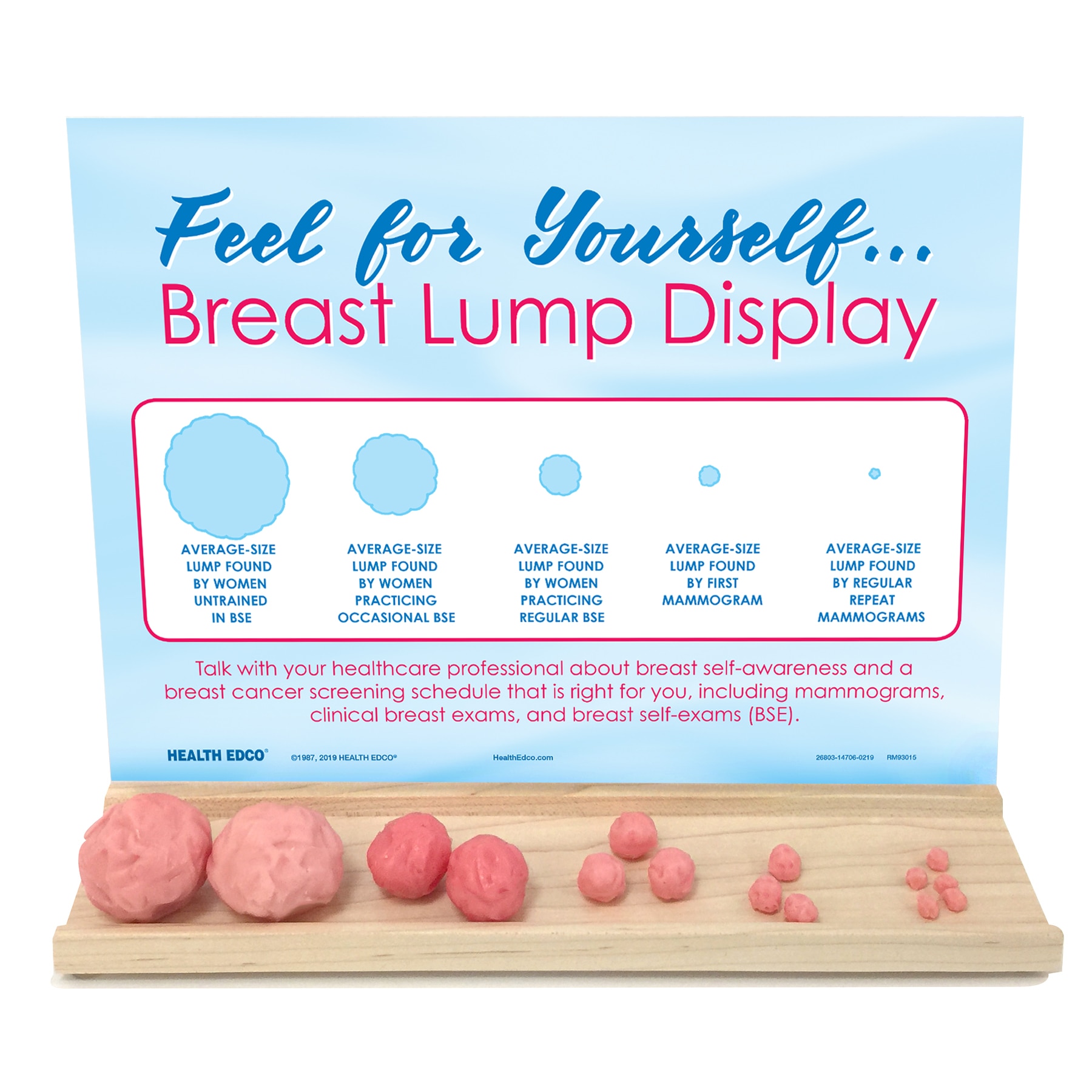 Feel for Yourself: Breast Lump Display for women’s health education from Health Edco