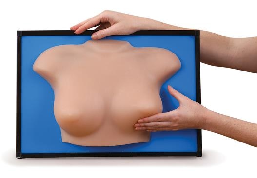 Group Breast Self-Exam (BSE) Model for Women’s Health Education