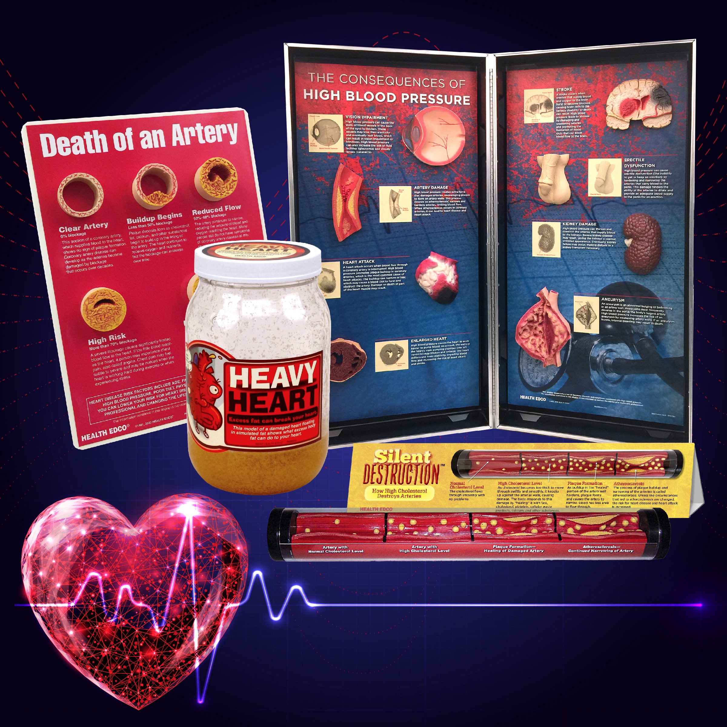 Holiday magic with health education materials and models from Health Edco