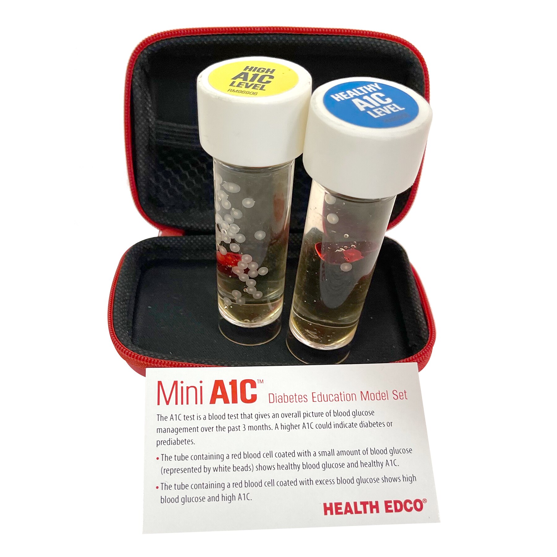 Health Edco Mini A1C Diabetes Education Model Set