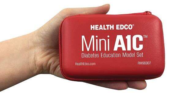 Health Edco Mini A1C Diabetes Education Model Set Case in palm of a hand