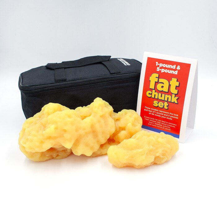Fat Chunk Set 1 Lb 5 Lb Health Edco Educational Models