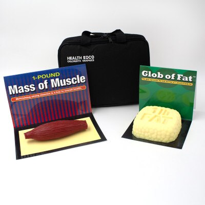 1-Pound Glob of Fat and Mass of Muscle, health education model set with simulated fat and muscle models, Health Edco, 26133