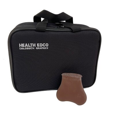TSE (testicular self-exam model), brown skin tone, health education tool, two lumps in each testicle, Health Edco, 26400E