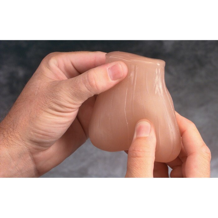 testicular self-exam model, authentic feel of testicles inside scrotum, two palpable lumps in one testicle,hand demonstrating tse method, Health Edco, 26406