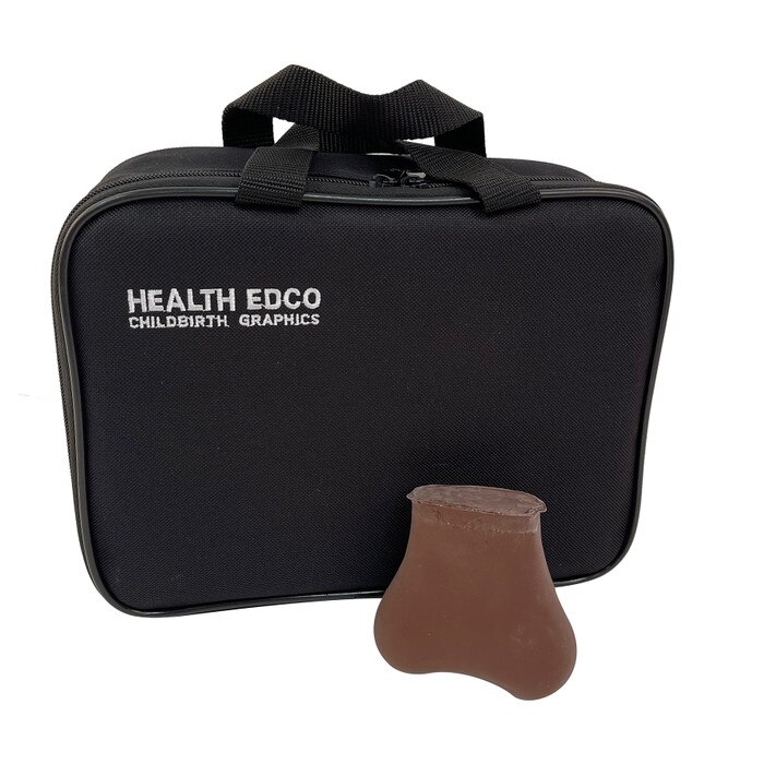 TSE Model Brown (Two Lumps in One Testicle), men's health education testicular self-exam model and case, Health Edco, 26406E