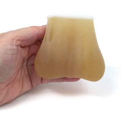 testicular self-exam model, authentic feel of testicles inside scrotum, two palpable lumps in each testicle, Health Edco, 26408
