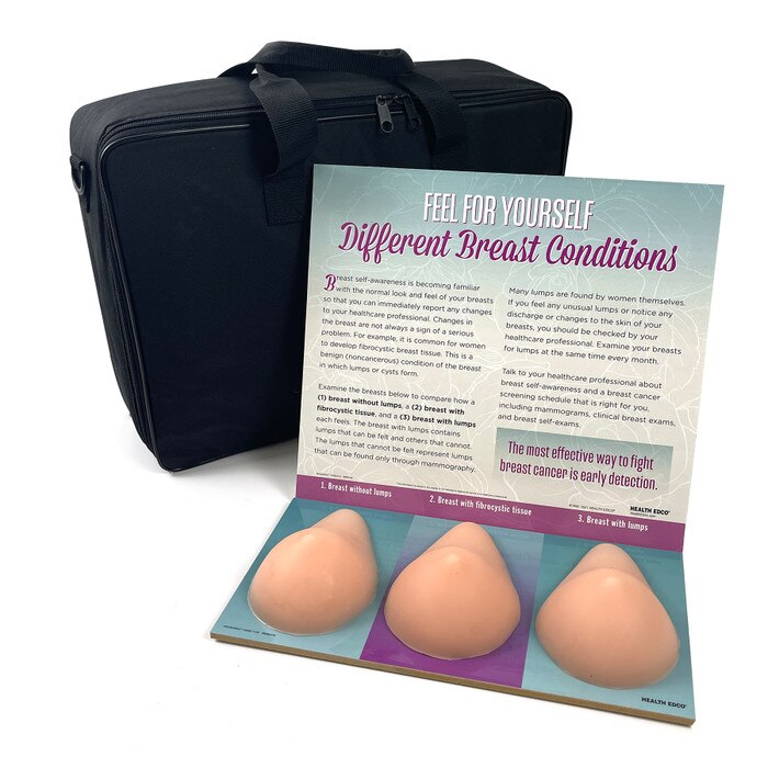 Multi Type BSE Model, Beige, three beige breast health education models, English Spanish display information and case, 26426
