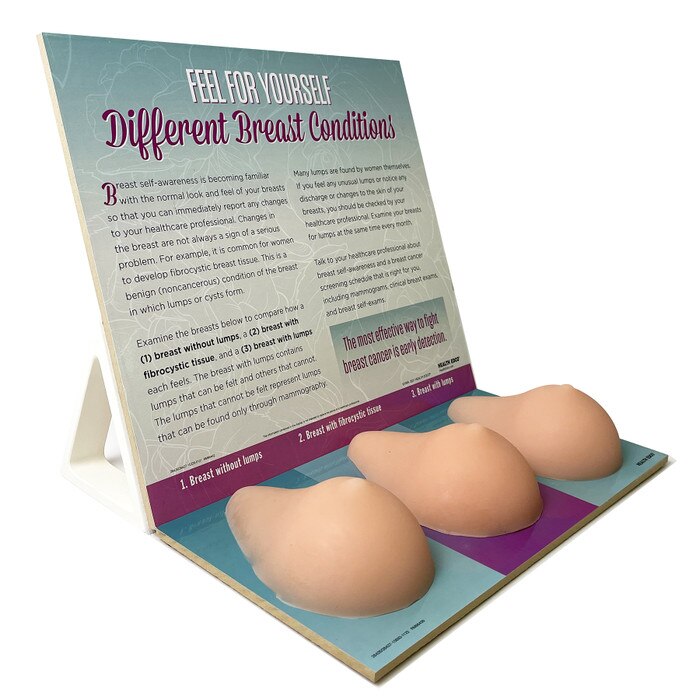 Multi-Type BSE Model shown from side with English display, women's breast health education model, Health Edco, 26426