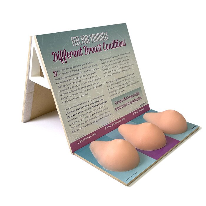 Multi-Type BSE Model shown from side with both bacgrounds attached, women's breast health education model, Health Edco, 26426