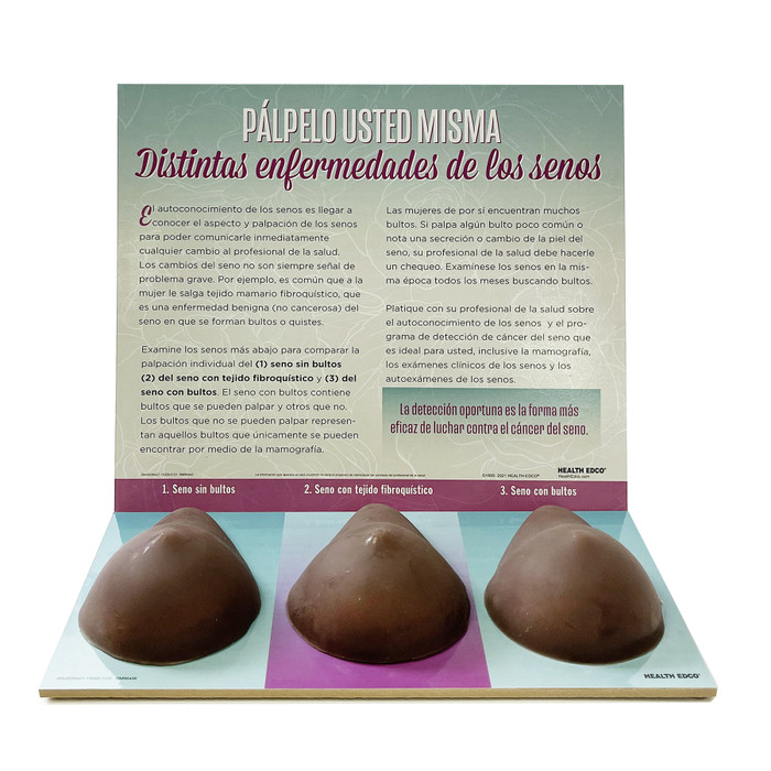 Multi-Type BSE Model, Brown, three brown breast self-exam models for health education in Spanish, Health Edco, 26427