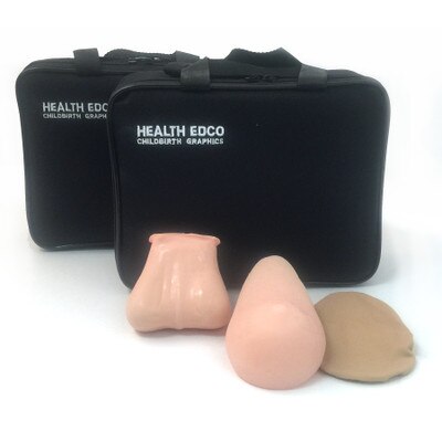 Teen TSE/BSE Model Kit, Beige from Health Edco with teen breast and testicular self-exam models and two carrying cases, 26495