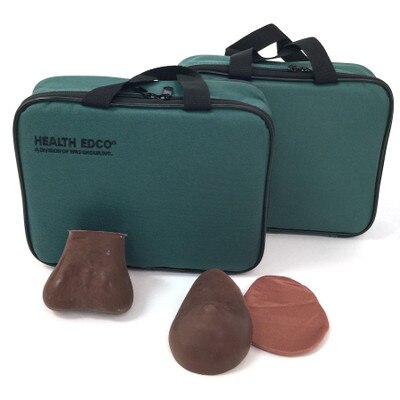 Teen Breast Self-Examination and Testicular Self-Examination models brown version, synthetic realistic feel tissue includes lumps, Health Edco, 26496