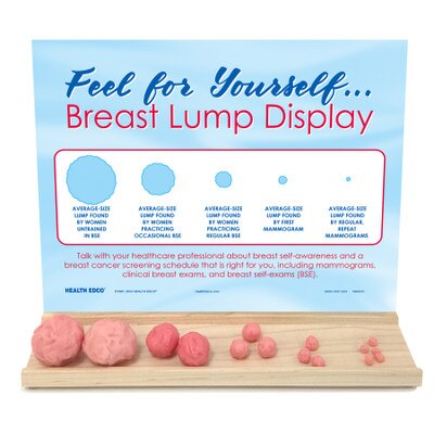 Breast Lump Display, women's health education display, simulated breast lumps for breast health teaching, Health Edco, 26803