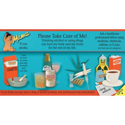 Prenatal Care Pamphlet/Poster | Childbirth Graphics