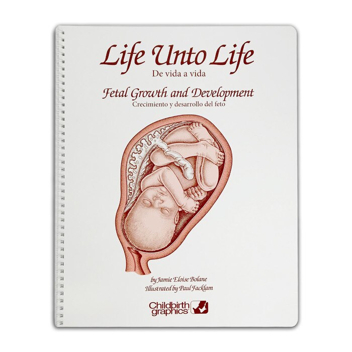 Life Unto Life Spiral-Bound Charts, childbirth education materials to explain foetal development, Childbirth Graphics, 43302