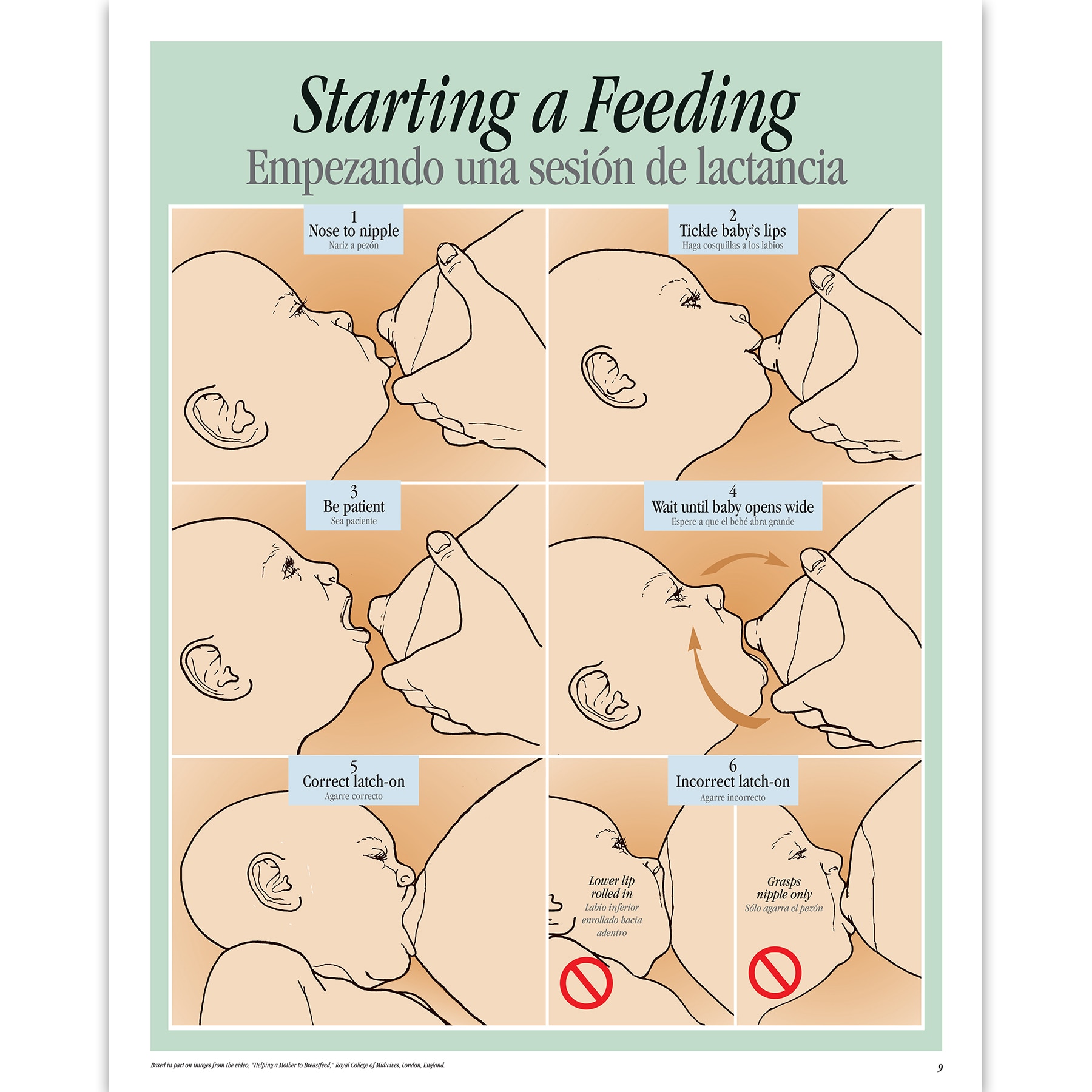Breastfeeding Diagram Latch Cradle Position: Over 298 Royalty-Free