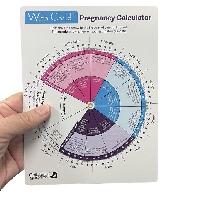 With Child Pregnancy Calculator, interactive educational leaflet to calculate pregnancy due date, Childbirth Graphics, 43341