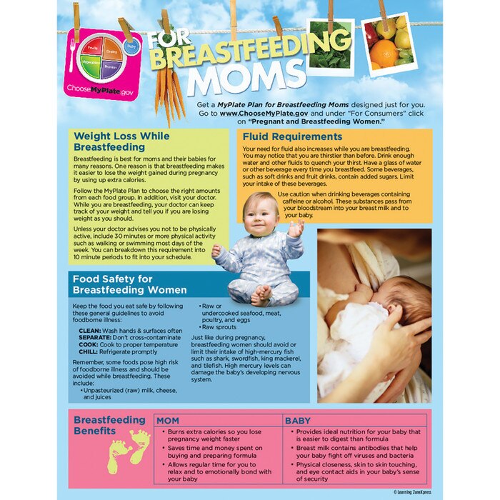 MyPlate for Breastfeeding Moms Tear Pad English back, weight loss fluid needs food safety, Childbirth Graphics, 50322