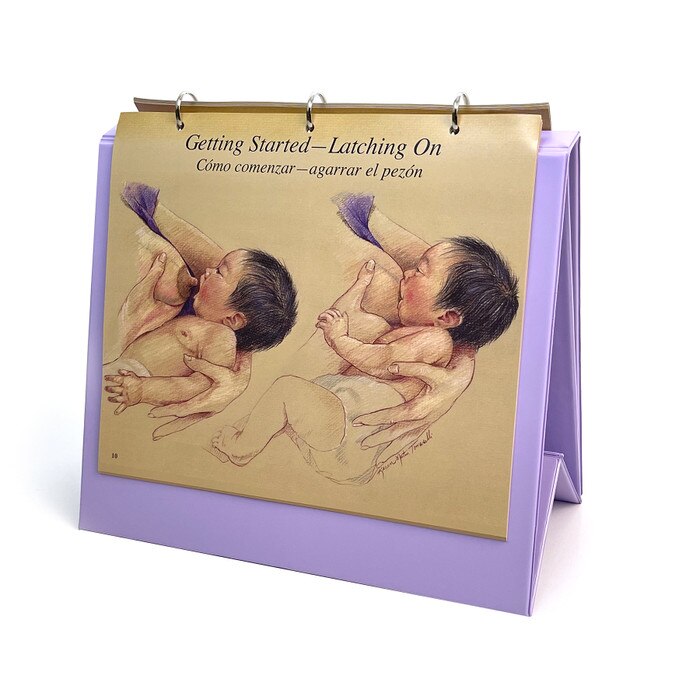 Breastfeeding Chart Collection, illustrated breastfeeding education chart of proper infant latch, Childbirth Graphics, 50705