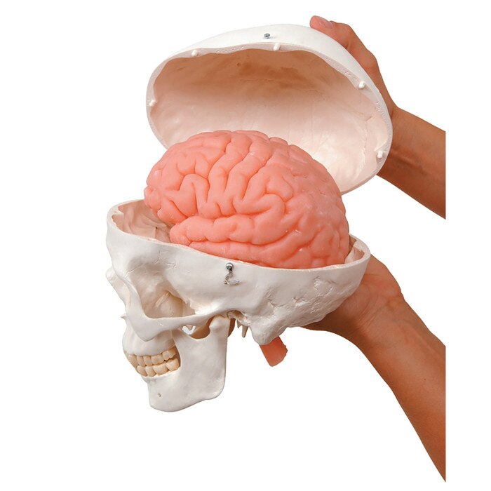 Emotional brain training 