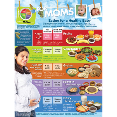 MyPlate for Expectant Moms Tear Pad English, nutrition guidelines healthy mom, Childbirth Graphics, 52048