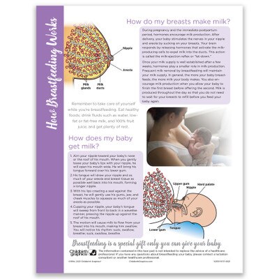 How Breastfeeding Works Tear Pad, Childbirth Graphics breastfeeding and lactation education leaflet, English side, 52513