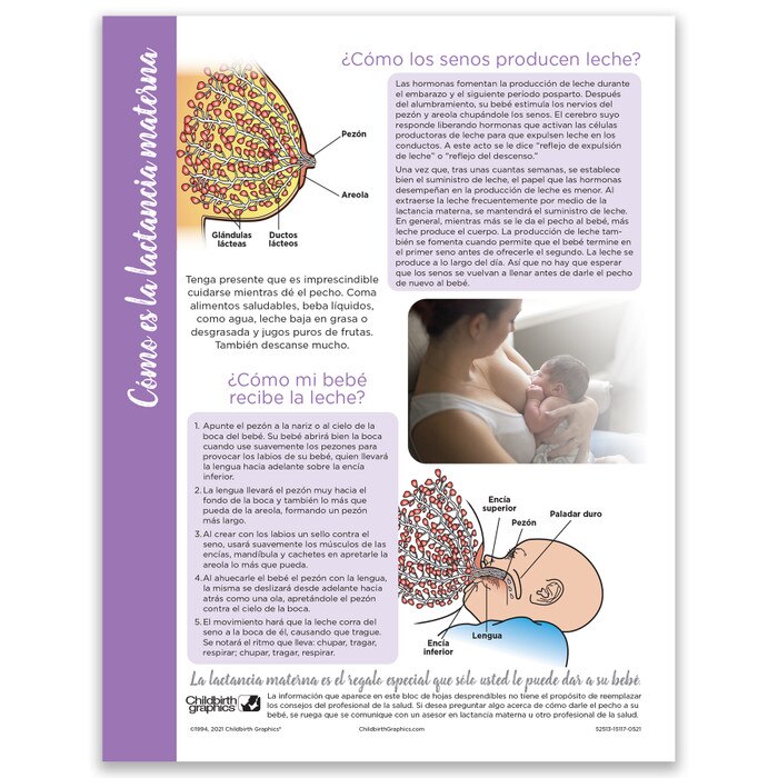 How Breastfeeding Works Tear Pad, Childbirth Graphics breastfeeding and lactation education leaflet, English side, 52513
