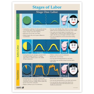 Stages of Labor Tear Pad for childbirth education from Childbirth Graphics with colour images the three stages of labour, 52736