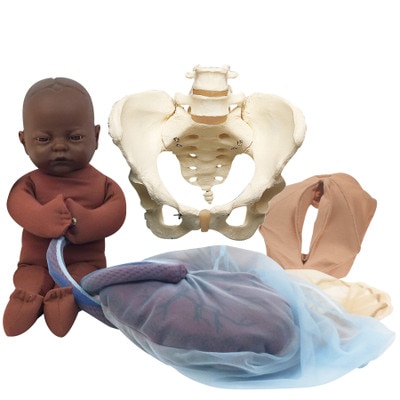 Vinyl Pelvic Model Set With Dark Brown Foetal Model, childbirth education labour teaching tool, Childbirth Graphics, 53002