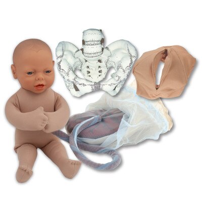 Cloth Pelvic Model Set With Beige Fetal Model, childbirth education demonstration model set, Childbirth Graphics, 53955