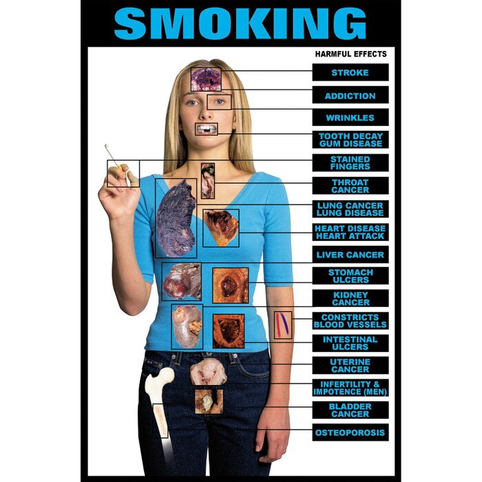 harmful effects of smoking research paper