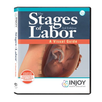 The Stages of Labor 3rd Edition: A Visual Guide USB, childbirth education materials and videos, Childbirth Graphics, 71420