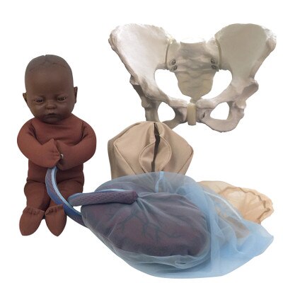 Childbirth Model Set with dark brown skin tone foetal model, pelvis, perineal, and placenta models, Childbirth Graphics, 78015