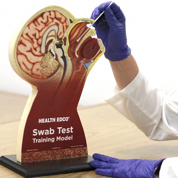 78034-Swab-Test-Training-Model_media-01.