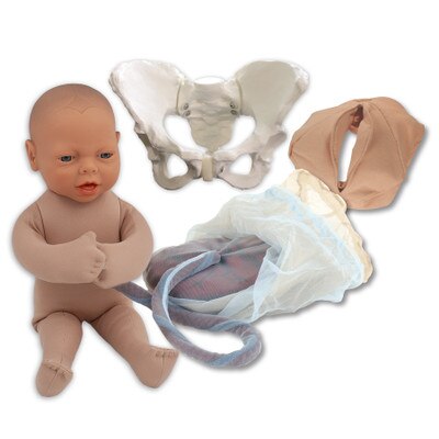 Childbirth Model Set with beige skin tone foetal model, pelvis, perineal cloth and placenta models, Childbirth Graphics, 78968