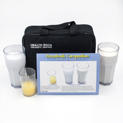 Breastmilk Composition: What's in a Day? Display, breastfeeding education teaching models, Childbirth Graphics, 78978