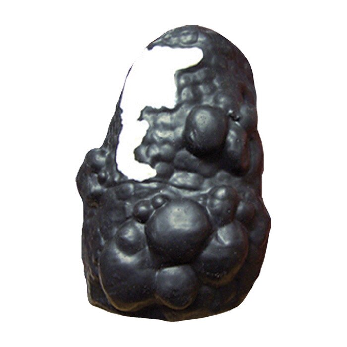 Model of lung depicting lung cancer and COPD from Health Edco's Lou-Wheeze Smoker's Lung Comparision Model, 79261