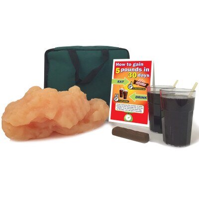 How to Gain 5 Pounds in 30 Days Display, health education display with models of body fat and foods, Health Edco, 79510
