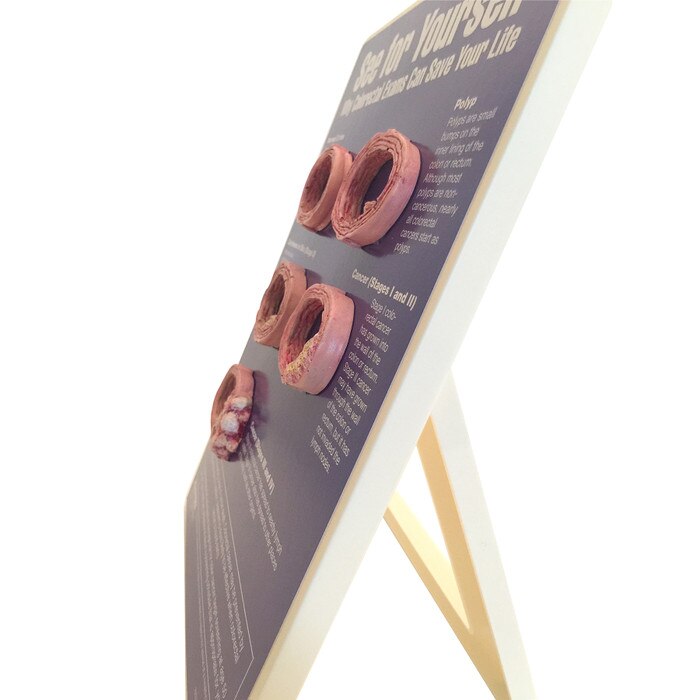 See for Yourself Colorectal Exams easel display for health education from Health Edco shown from the side with models, 79734