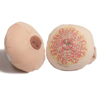 Cloth Breast Model, Beige for breastfeeding education by Childbirth Graphics, model shown from exterior and interior, 79811