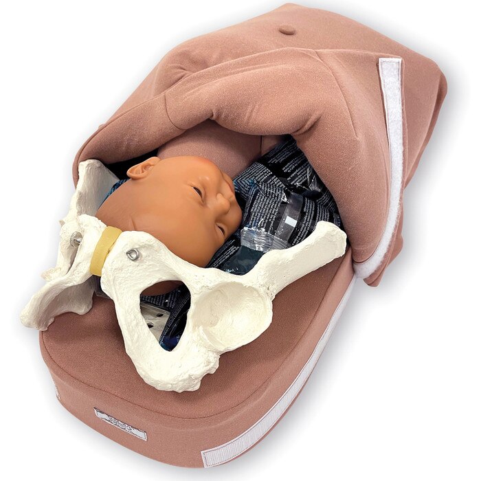 Abdominal Palpation Model, childbirth education model with cover open to show foetus and pelvis, Childbirth Graphics, 79820