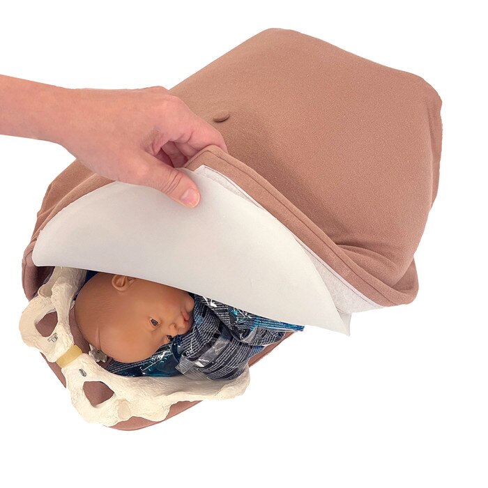 Abdominal Palpation Model, hand pulling teaching cover to show foetus and pelvis models inside, Childbirth Graphics, 79820