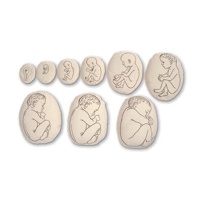 Womb to Grow Model Set, nine pillowlike childbirth education models with image of growing foetus, Childbirth Graphics, 79869
