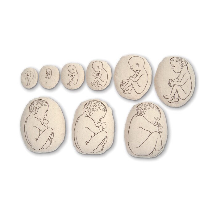 Womb to Grow Model Set, nine pillowlike childbirth education models with image of growing foetus, Childbirth Graphics, 79869